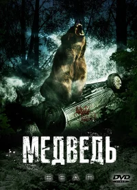 Медведь